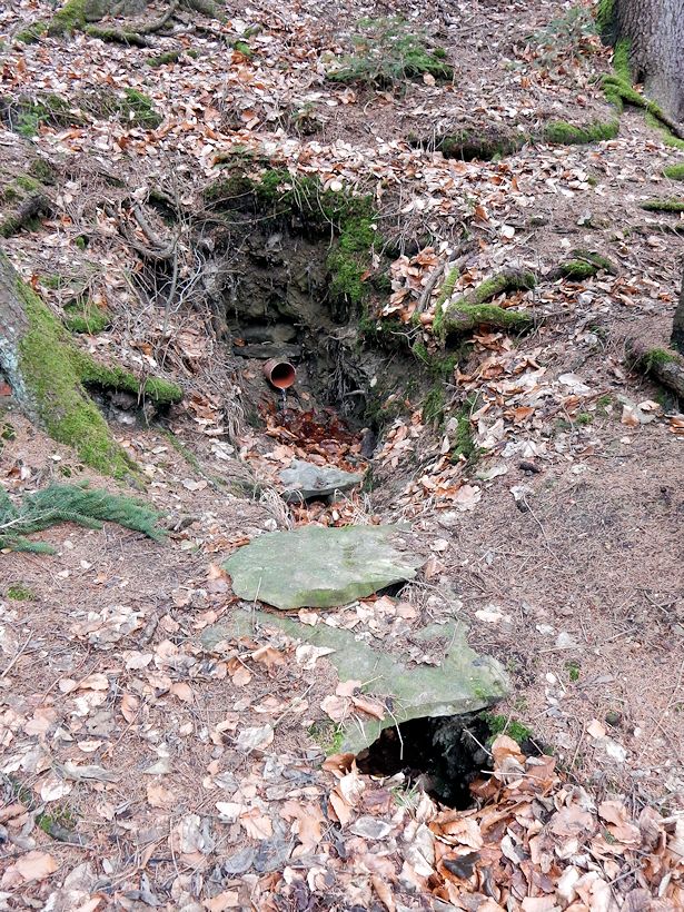 studánka Pod Kolibou (10365) - únor 2016