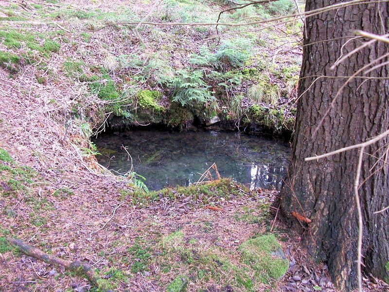 Kančí studánka (10369) - únor 2016