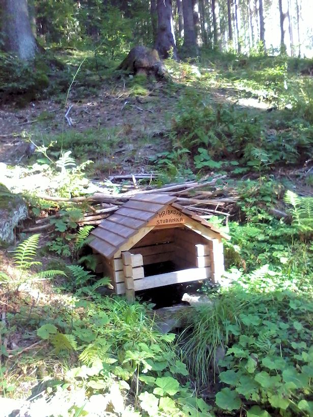 Hříbkova studánka (10372) - únor 2016
