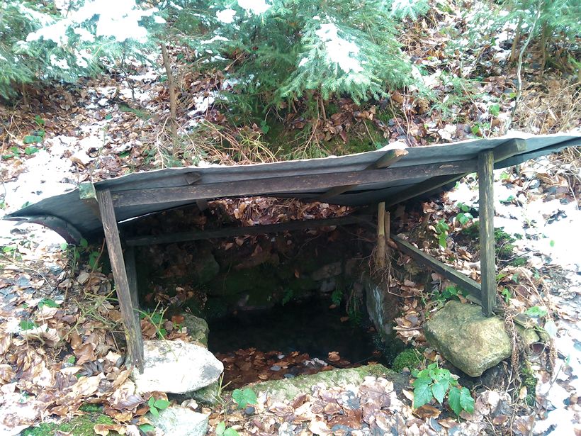 studánka bez jména (10380) - únor 2016