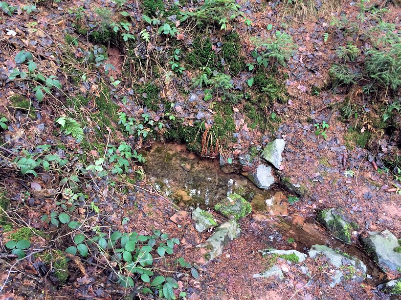 Pánkova studánka (10388) - únor 2016