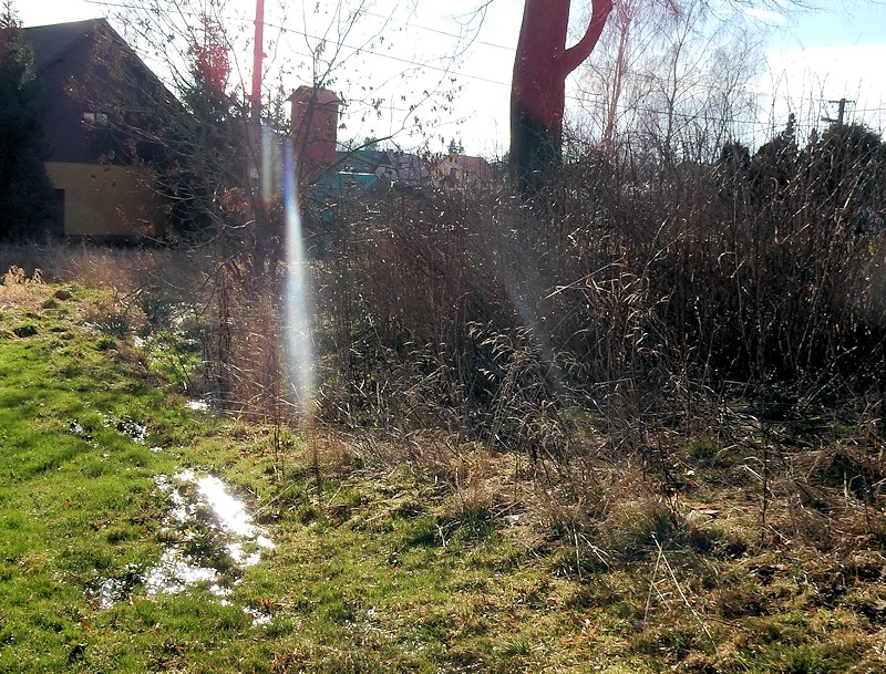 prameniště Nad kostelem (10390) - únor 2016