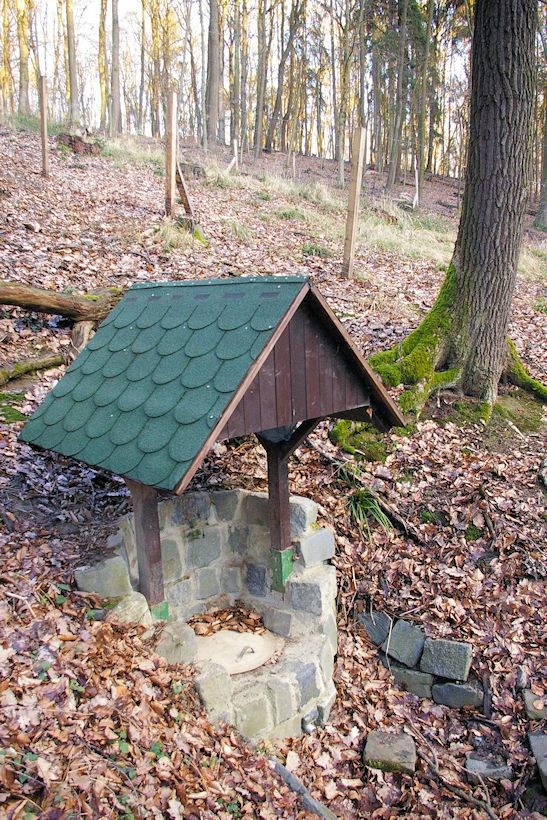 studánka V Hlubočkách (10397) - únor 2016