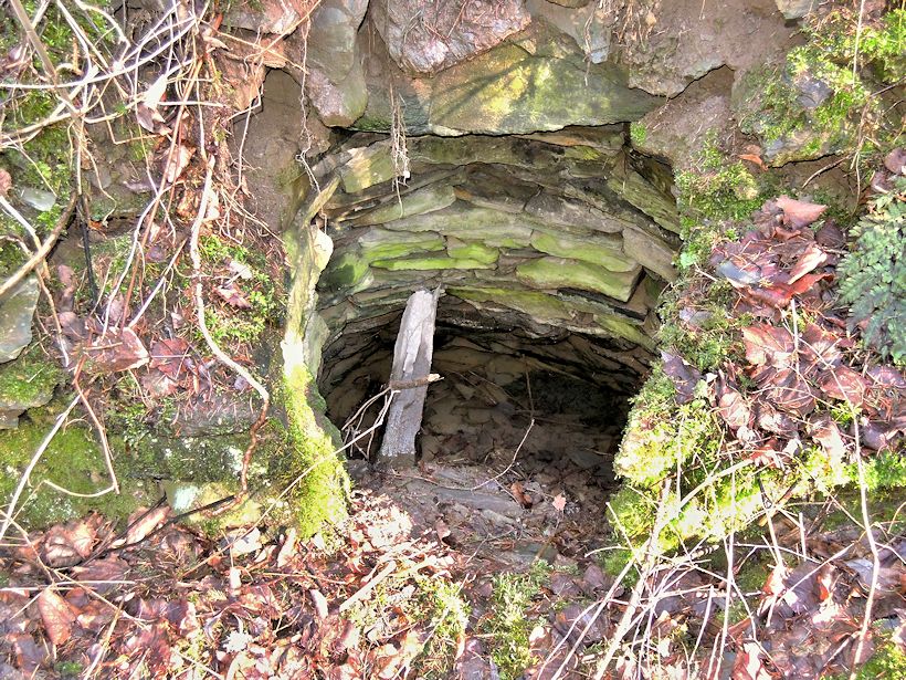studánka Kerhartice IV (10418) - únor 2016