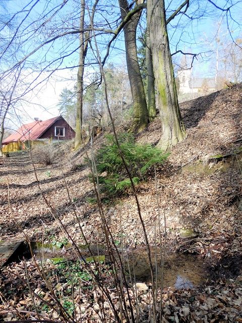 studánka Pod kostelem (10431) - březen 2016