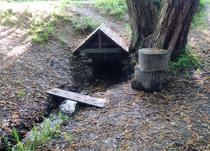 studánka Pod Kopešínem (10435) - březen 2016