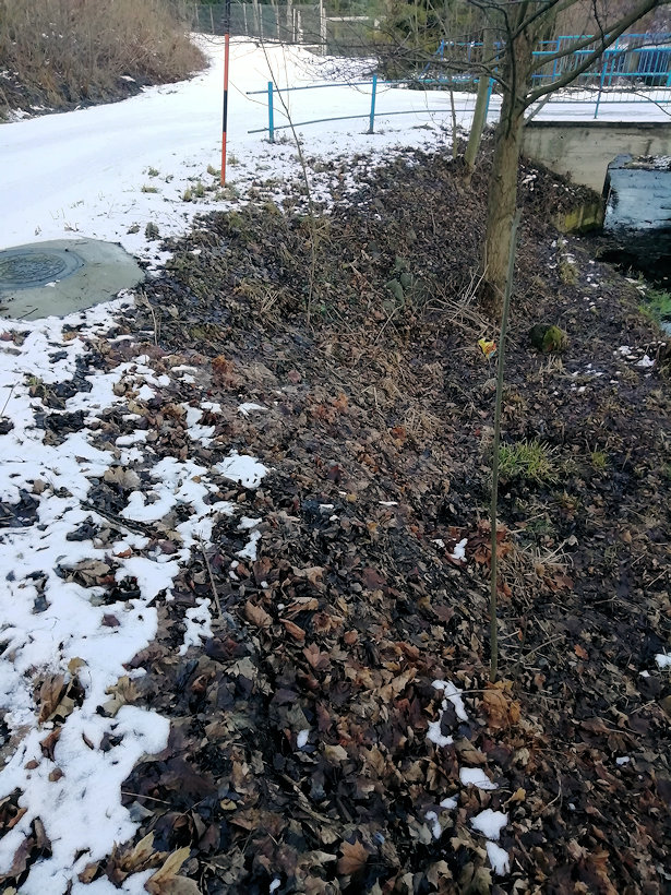 studánka Pod cestou (10446) - únor 2022