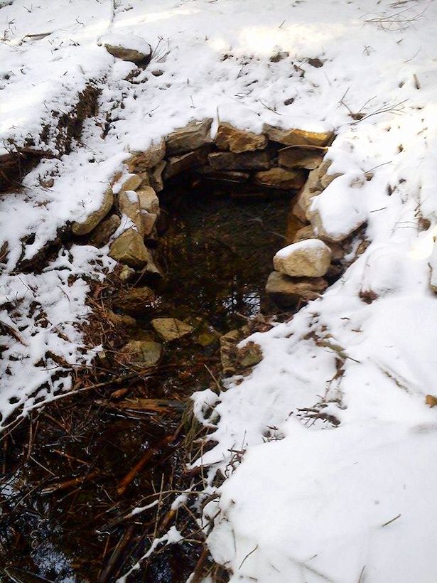 Košťálova studánka (10451) - březen 2016