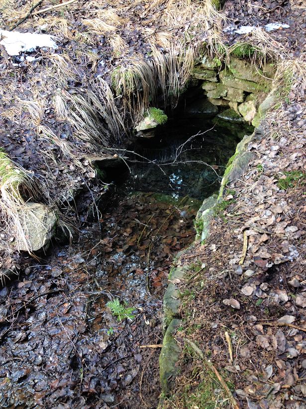 studánka U Dingirglmühle (10452) - březen 2016