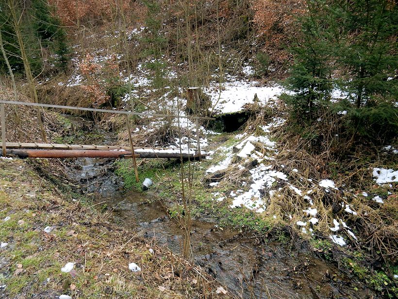 studánka bez jména (10456) - březen 2016