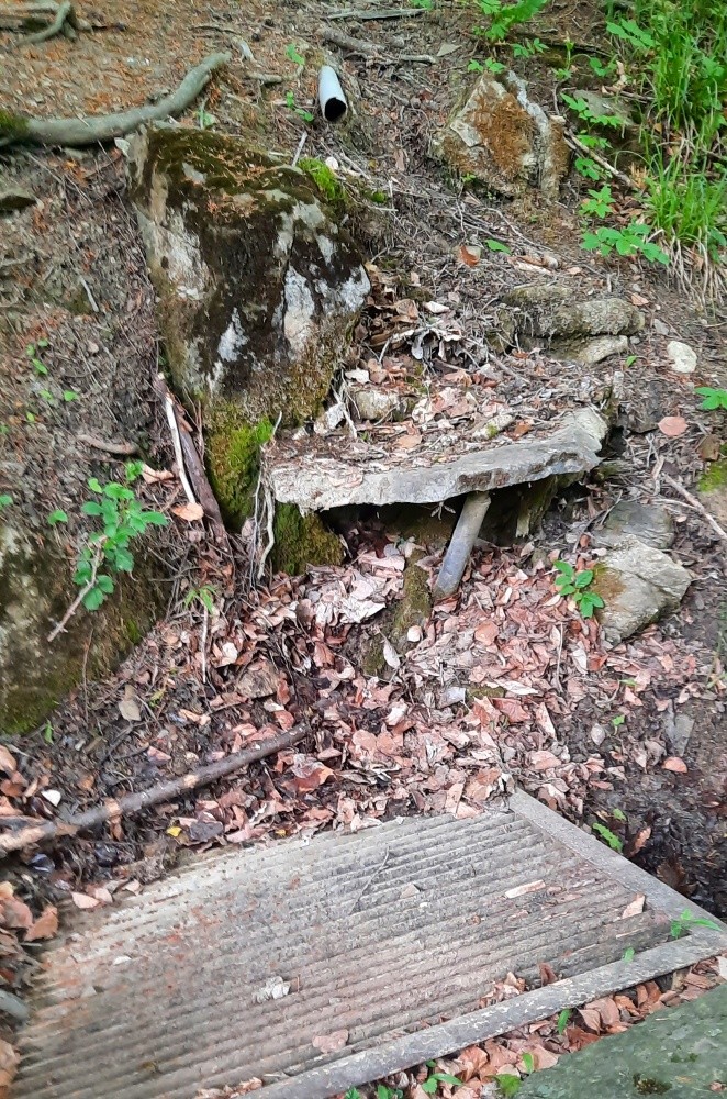 studánka Ořechová (10464) - květen 2025