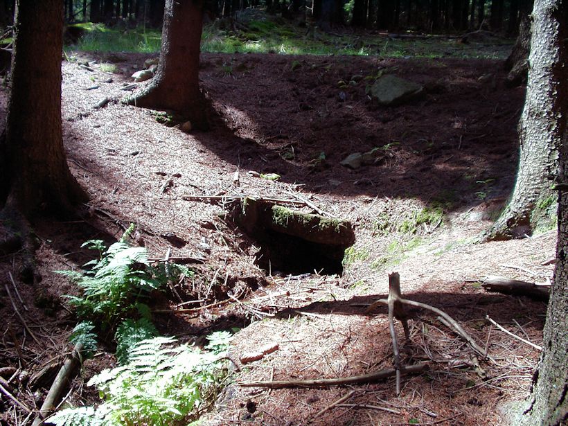studánka bez jména (9012) - srpen 2014