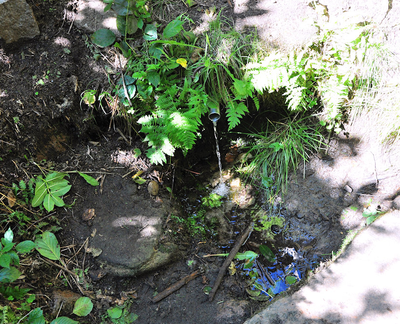 studánka Setonova (9020) - srpen 2020