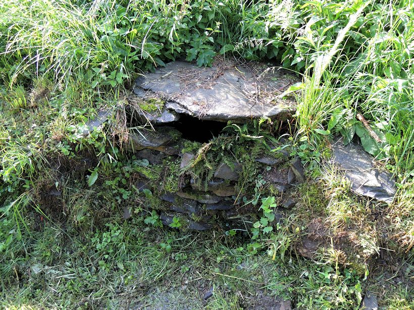 studánka U cesty (9025) - srpen 2014