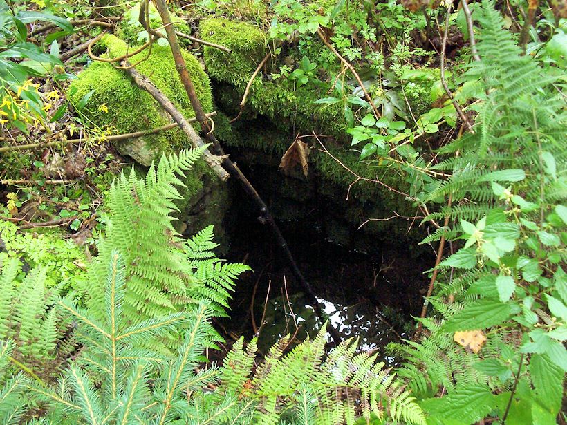 studánka Pod Rychtou (9046) - září 2014