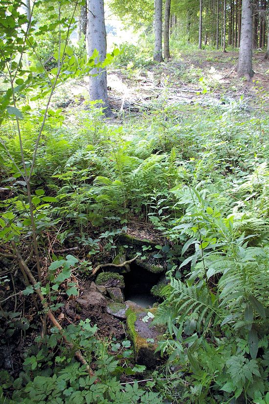 studánka Tety Aničky (9052) - září 2014