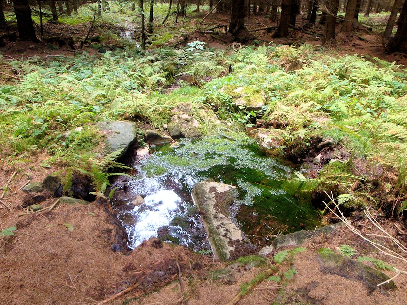 studánka Nad peklem (9086) - září 2014