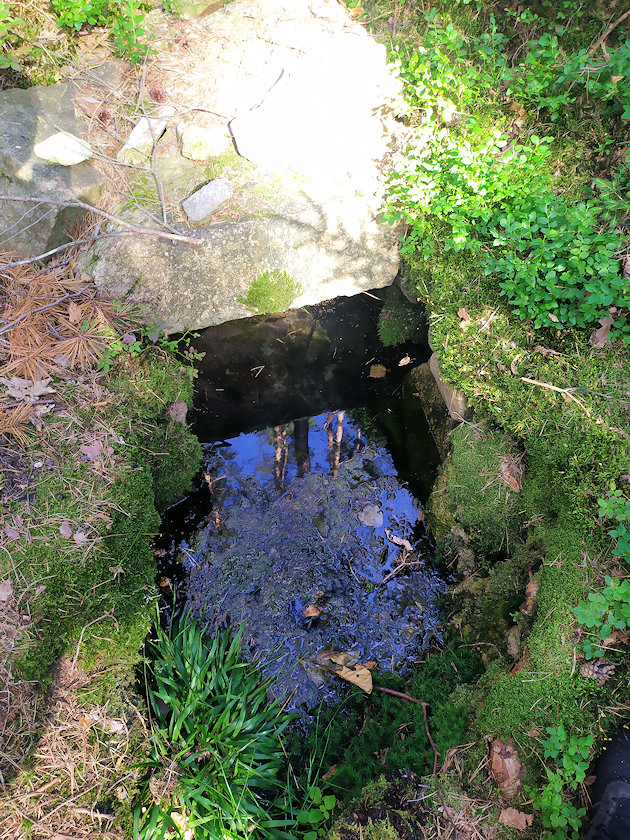 studánka Na Prašivce (9097) - červenec 2022
