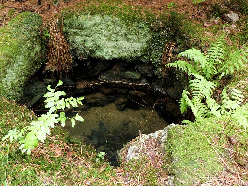 studánka Vahlovice (9100) - únor 2014