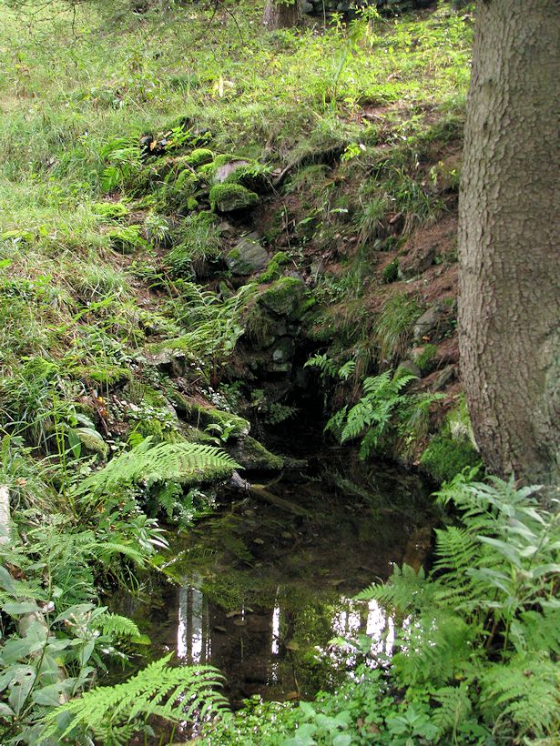 studánka U hájovny Nickelberg  (9133) - říjen 2014