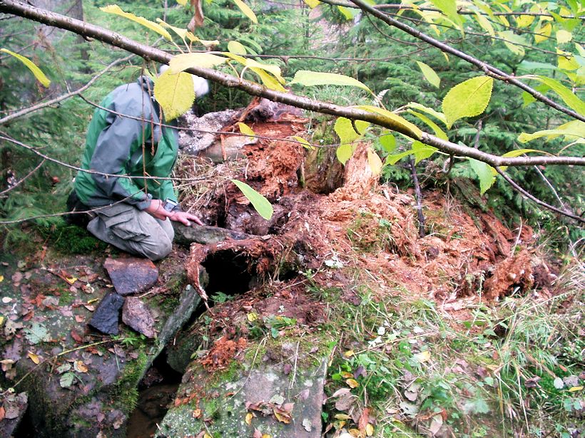 studánka bez jména (9163) - datum neznámé