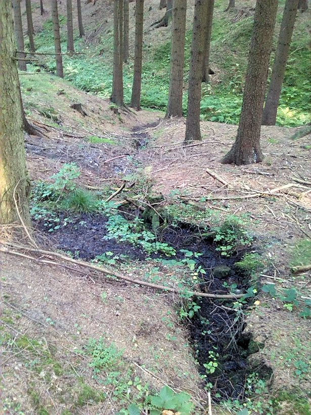 pramen V Pekelném dole II (9186) - říjen 2014