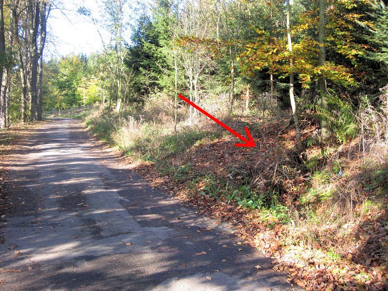 pramen Nad Zbohovem (9191) - říjen 2014