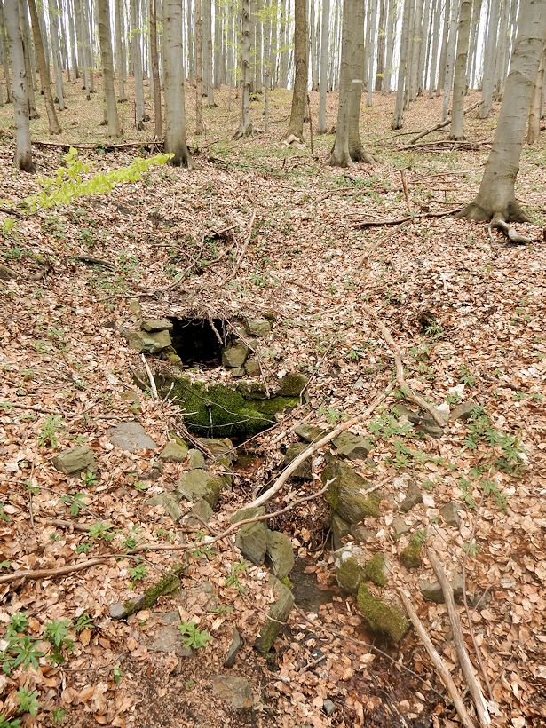 studánka Cukrová bouda (9200) - říjen 2014