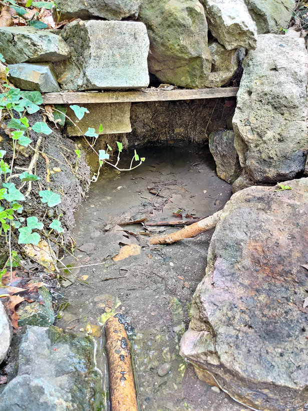 studánka Pod Baroňákem (9205) - květen 2021