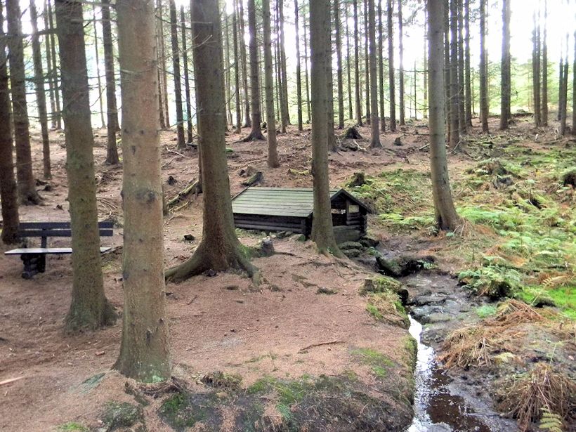 studánka Pod Vysokým kamenem (9239) - listopad 2014