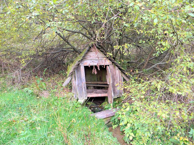 studánka Ve Vlčích Jamách (9240) - listopad 2014