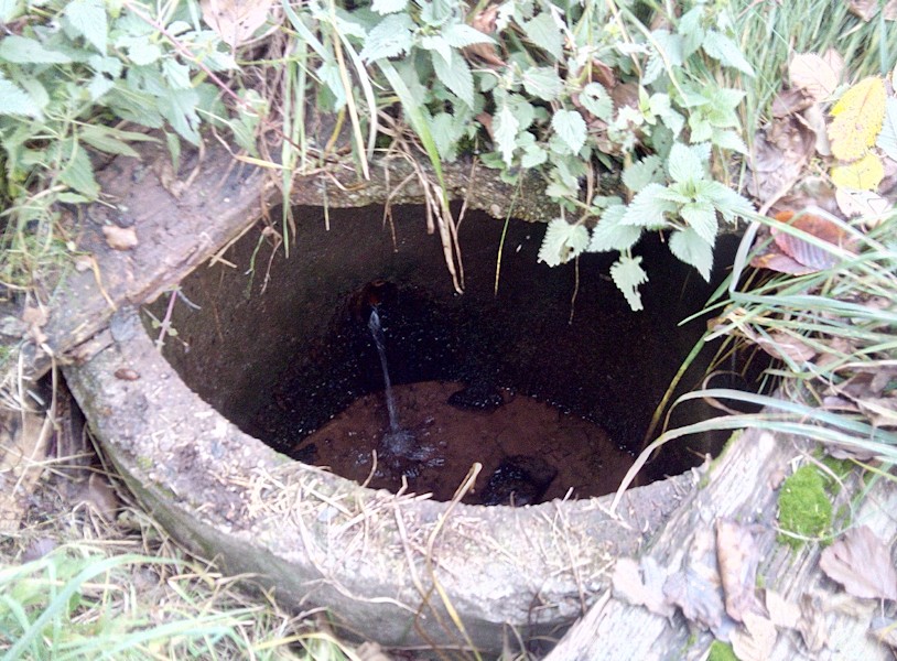 studánka bez jména (9249) - listopad 2014
