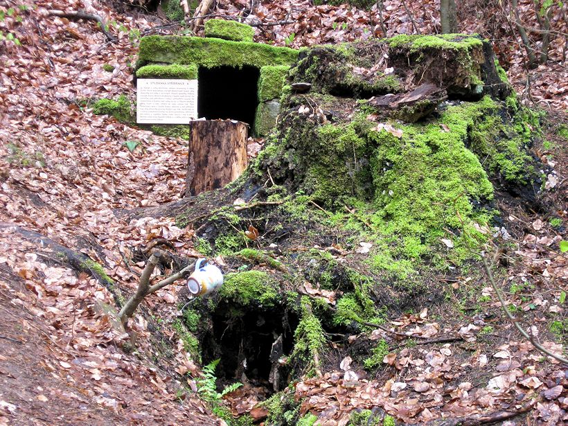 studánka Stříbrník (9253) - listopad 2014