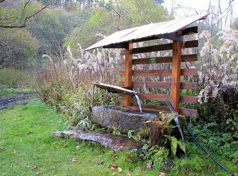 studánka U Sloního potoka  (9255) - listopad 2014