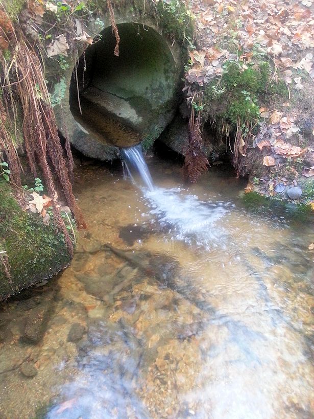 studánka bez jména (9258) - listopad 2014