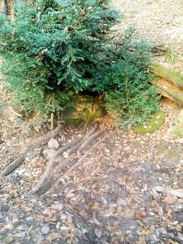 Menclova studánka (9284) - listopad 2014