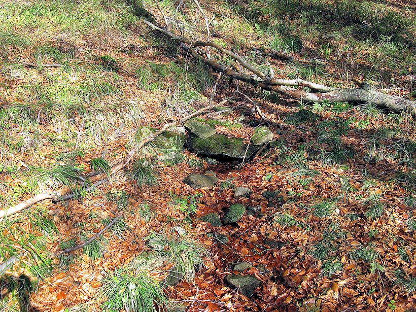 studánka bez jména (9287) - listopad 2014