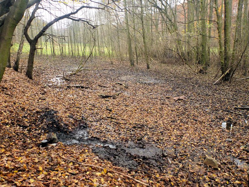 prameniště V údolí Březeneckého potoka 4 (9294) - listopad 2014