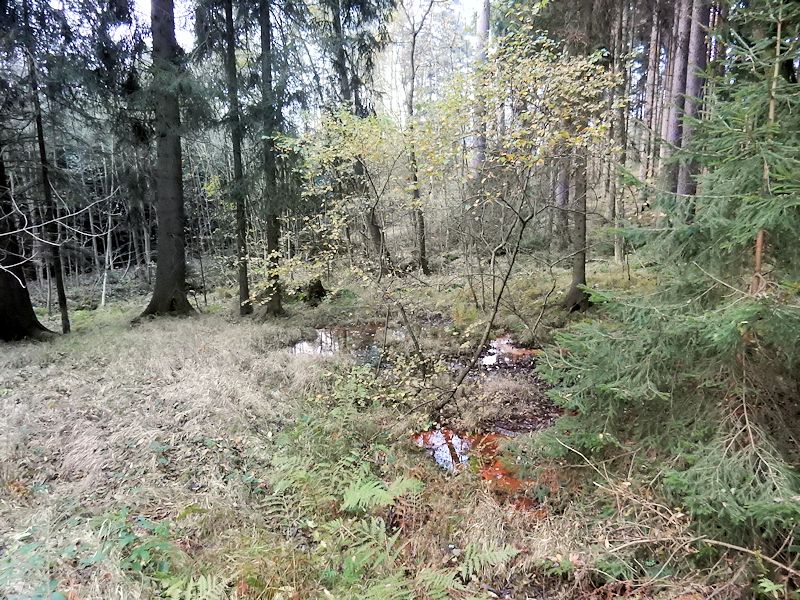 prameniště Nad lázněmi (9301) - listopad 2014