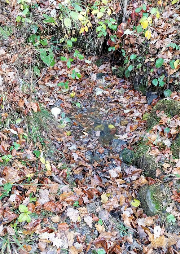 studánka Ferdinandova (9303) - listopad 2014