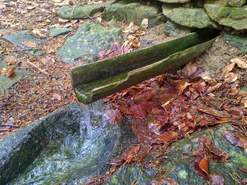 studánka Pod Habrem (9306) - květen 2024