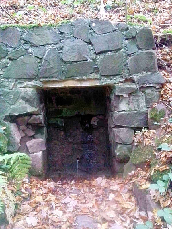 studánka U Habřiny (9310) - listopad 2014