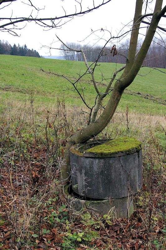 studánka Pyrtě (9311) - listopad 2014
