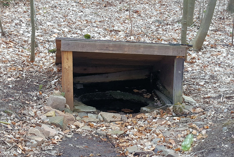 studánka Nad Červenejch loukou (9326) - březen 2019