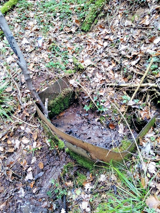 studánka Pramen Libuňky I (9328) - prosinec 2014