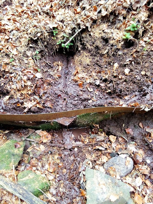 studánka Pramen Libuňky II (9329) - prosinec 2014