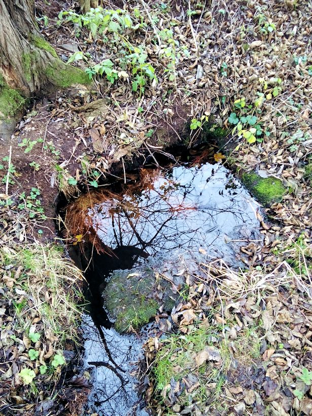 studánka Pod Vodojemem (9330) - prosinec 2014