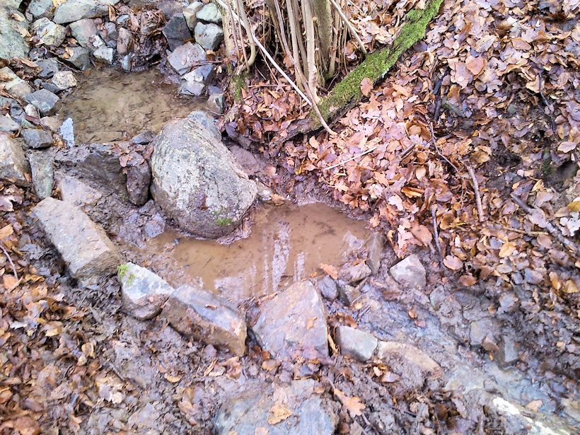 Lísková studánka (9364) - prosinec 2014