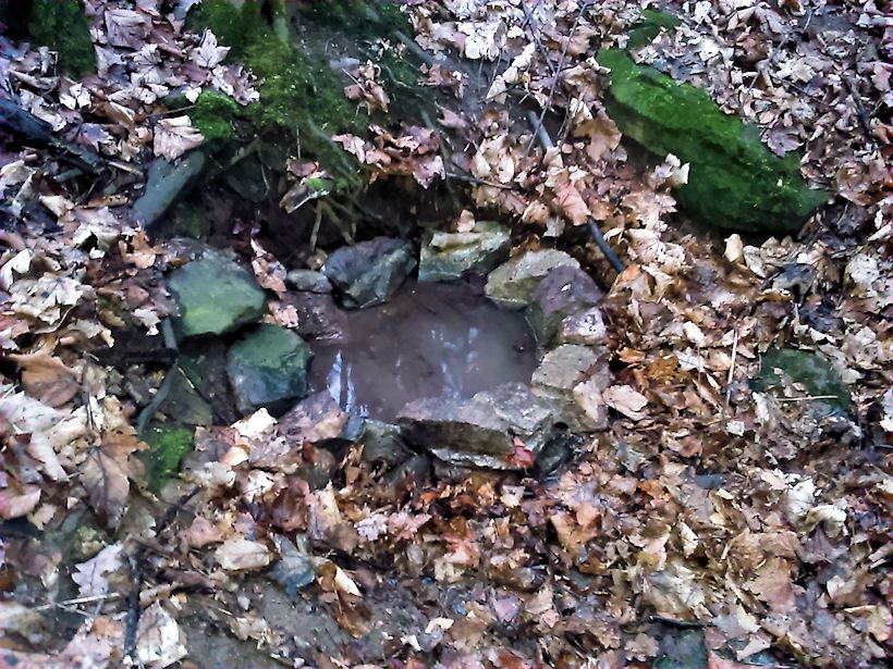 studánka Pod Bílou horou (9365) - prosinec 2014