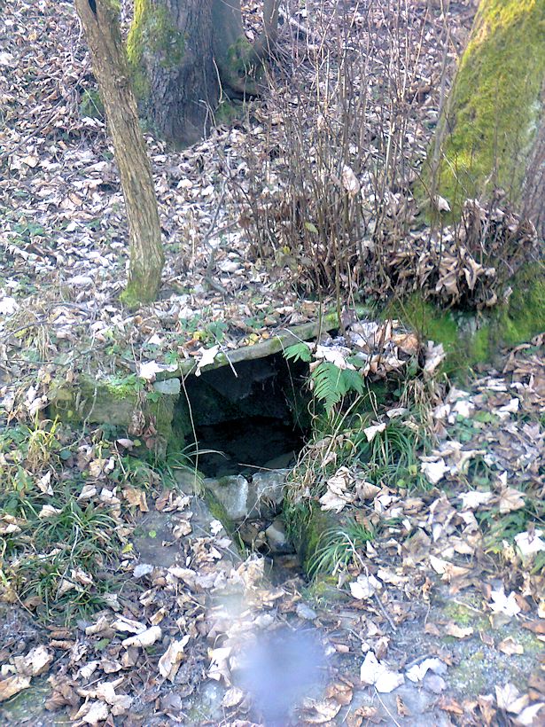 studánka V Zápletách (9372) - prosinec 2014